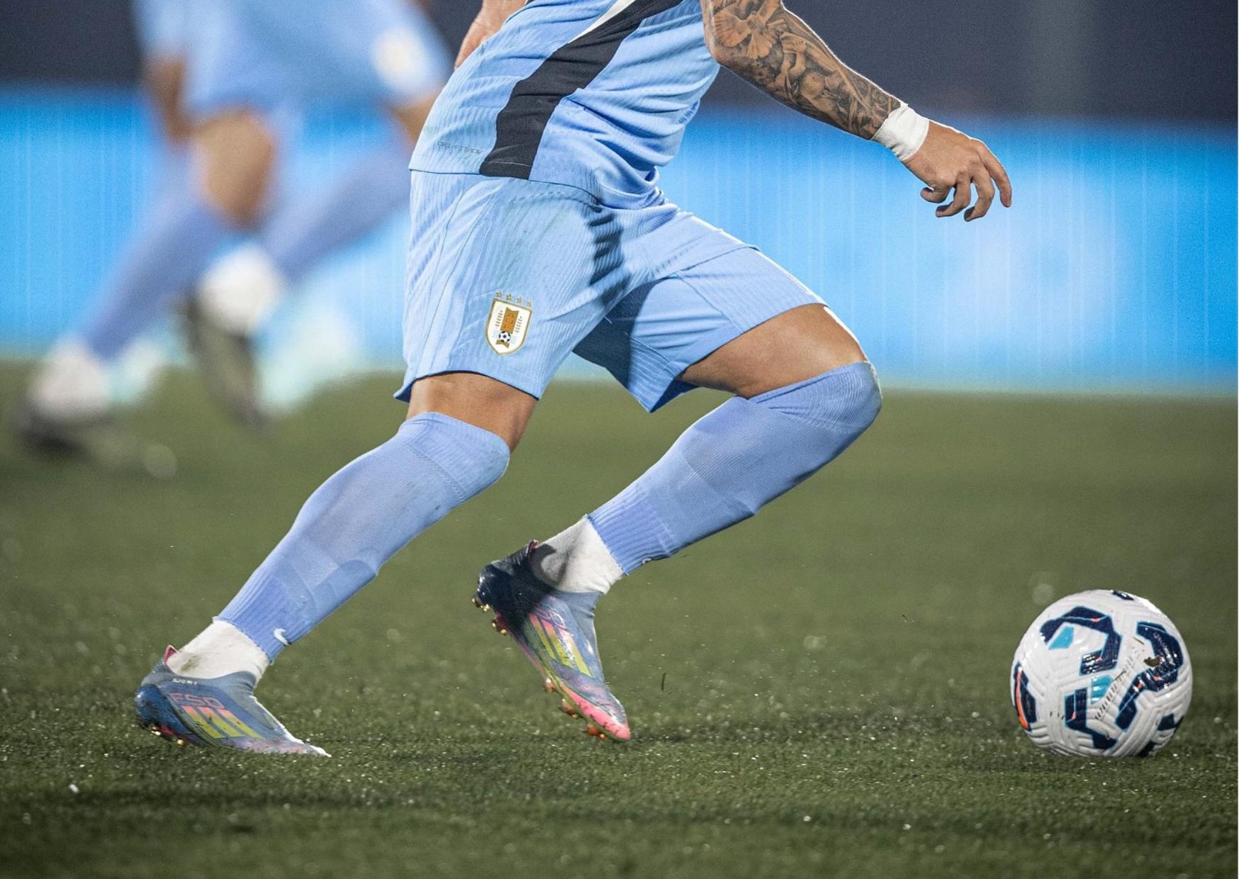 23% de los uruguayos cree que Uruguay será campeón del mundo el año próximo. 