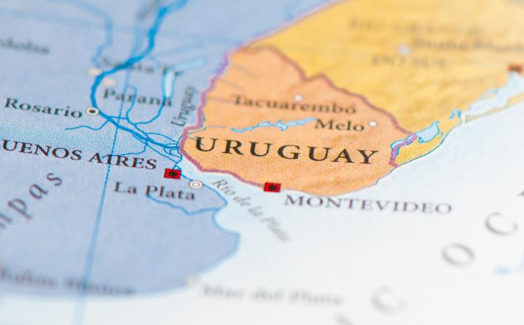 Principal problema del país: inseguridad y desempleo